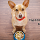 Top 10 Best Puppy Foods